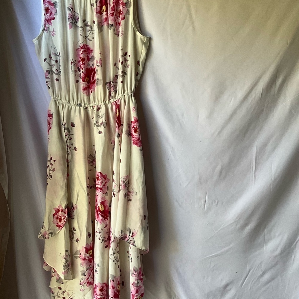 Eva Franco Pink Floral Shentel Dress Size 12 - Picture 6 of 9